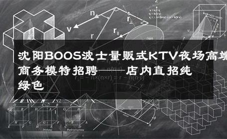 沈阳BOOS波士量贩式KTV夜场高端商务模特招聘——店内直招纯绿色