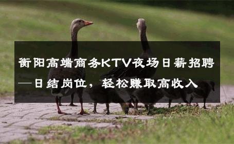 衡阳高端商务KTV夜场日薪招聘—日结岗位，轻松赚取高收入