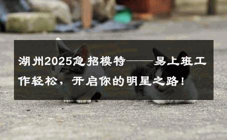 湖州2025急招模特——易上班工作轻松，开启你的明星之路！