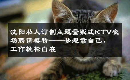 沈阳私人订制主题量贩式KTV夜场聘请模特——梦想靠自己，工作轻松自在