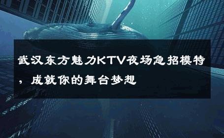 武汉东方魅力KTV夜场急招模特，成就你的舞台梦想