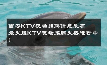 西安KTV夜场招聘信息发布——最火爆KTV夜场招聘火热进行中！