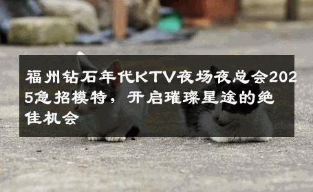 福州钻石年代KTV夜场夜总会2025急招模特，开启璀璨星途的绝佳机会