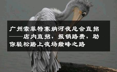 广州索菲特塞纳河夜总会直招——店内直招，报销路费，助你轻松踏上夜场巅峰之路