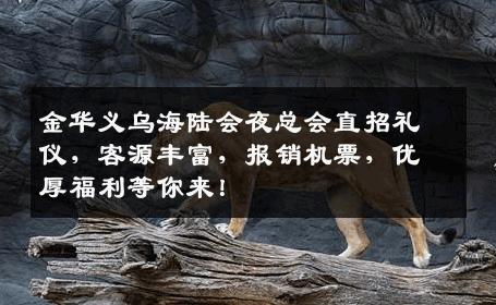 金华义乌海陆会夜总会直招礼仪，客源丰富，报销机票，优厚福利等你来！