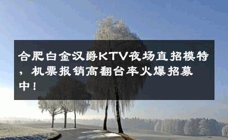 合肥白金汉爵KTV夜场直招模特，机票报销高翻台率火爆招募中！