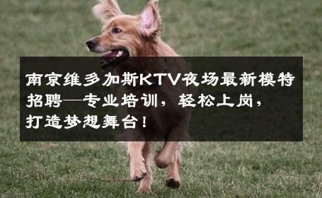 南京维多加斯KTV夜场最新模特招聘—专业培训，轻松上岗，打造梦想舞台！