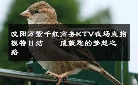 沈阳万紫千红商务KTV夜场直招模特日结——成就您的梦想之路