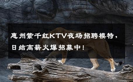 惠州紫千红KTV夜场招聘模特，日结高薪火爆招募中！
