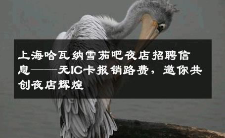 上海哈瓦纳雪茄吧夜店招聘信息——无IC卡报销路费，邀你共创夜店辉煌
