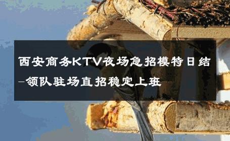 西安商务KTV夜场急招模特日结-领队驻场直招稳定上班