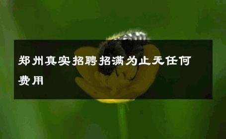郑州真实招聘招满为止无任何费用