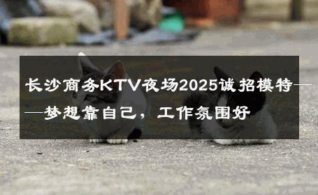 长沙商务KTV夜场2025诚招模特——梦想靠自己，工作氛围好