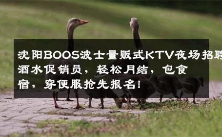 沈阳BOOS波士量贩式KTV夜场招聘酒水促销员，轻松月结，包食宿，穿便服抢先报名！
