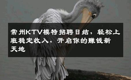 常州KTV模特招聘日结，轻松上班稳定收入，开启你的赚钱新天地