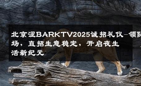 北京涩BARKTV2025诚招礼仪-领队驻场，直招生意稳定，开启夜生活新纪元