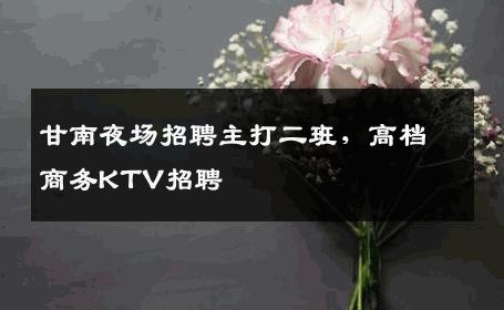 甘南夜场招聘主打二班，高档商务KTV招聘