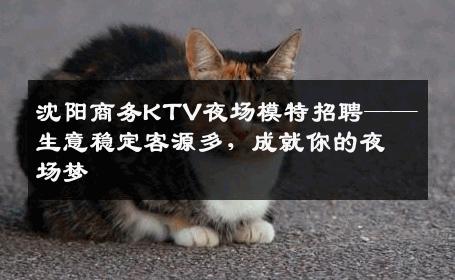 沈阳商务KTV夜场模特招聘——生意稳定客源多，成就你的夜场梦