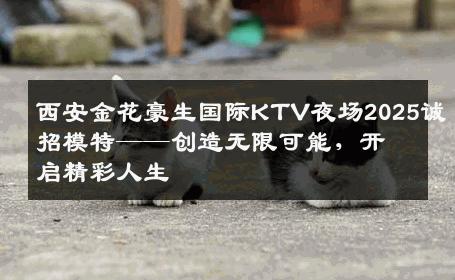 西安金花豪生国际KTV夜场2025诚招模特——创造无限可能，开启精彩人生