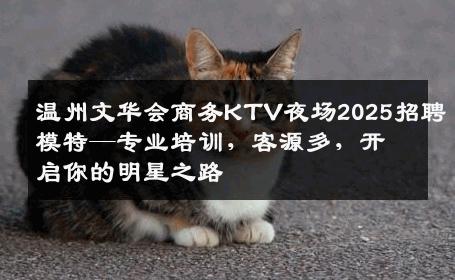 温州文华会商务KTV夜场2025招聘模特—专业培训，客源多，开启你的明星之路