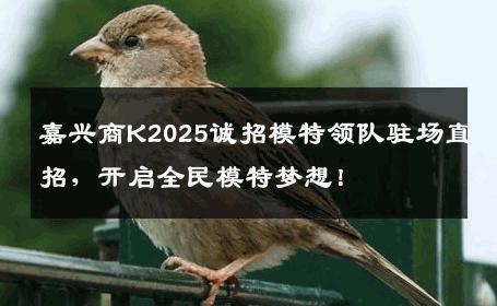 嘉兴商K2025诚招模特领队驻场直招，开启全民模特梦想！