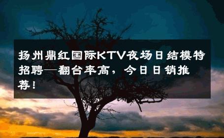 扬州鼎红国际KTV夜场日结模特招聘—翻台率高，今日日销推荐！