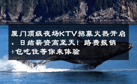 厦门顶级夜场KTV招募火热开启，日结薪资高至天！路费报销+包吃住等你来体验