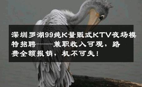 深圳罗湖99纯K量贩式KTV夜场模特招聘——兼职收入可观，路费全额报销，机不可失！