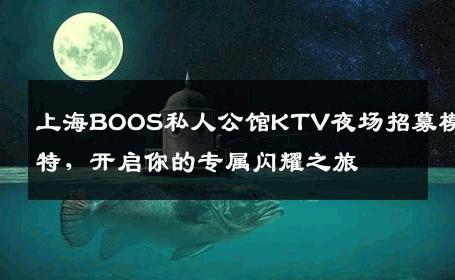 上海BOOS私人公馆KTV夜场招募模特，开启你的专属闪耀之旅