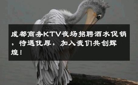 成都商务KTV夜场招聘酒水促销，待遇优厚，加入我们共创辉煌！