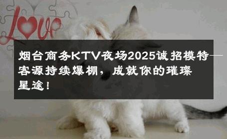 烟台商务KTV夜场2025诚招模特—客源持续爆棚，成就你的璀璨星途！