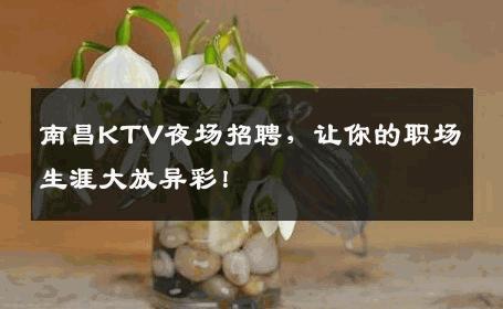 南昌KTV夜场招聘，让你的职场生涯大放异彩！