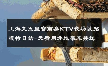 上海九五皇宫商务KTV夜场诚招模特日结-无费用外地豪车接送