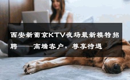 西安新葡京KTV夜场最新模特招聘——高端客户，尊享待遇