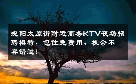 沈阳太原街附近商务KTV夜场招聘模特，包住免费用，机会不容错过！