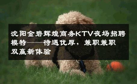 沈阳金碧辉煌商务KTV夜场招聘模特——待遇优厚，兼职兼职双赢新体验