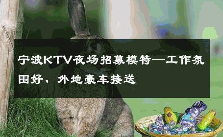 宁波KTV夜场招募模特—工作氛围好，外地豪车接送