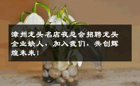 漳州龙头名店夜总会招聘龙头企业缺人，加入我们，共创辉煌未来！
