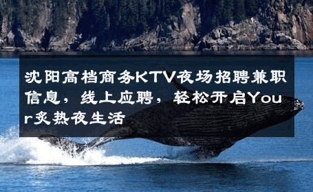 沈阳高档商务KTV夜场招聘兼职信息，线上应聘，轻松开启Your炙热夜生活
