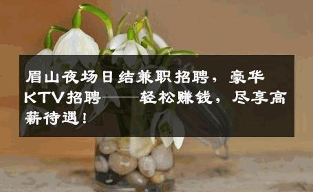 眉山夜场日结兼职招聘，豪华KTV招聘——轻松赚钱，尽享高薪待遇！