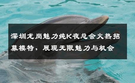 深圳龙岗魅力纯K夜总会火热招募模特，展现无限魅力与机会