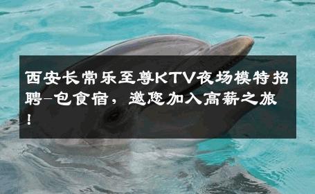 西安长常乐至尊KTV夜场模特招聘-包食宿，邀您加入高薪之旅！