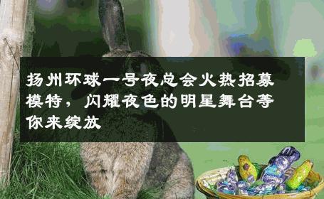 扬州环球一号夜总会火热招募模特，闪耀夜色的明星舞台等你来绽放