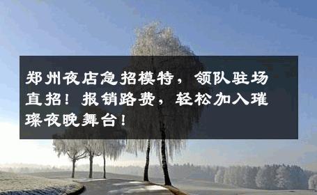 郑州夜店急招模特，领队驻场直招！报销路费，轻松加入璀璨夜晚舞台！