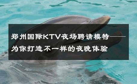 郑州国际KTV夜场聘请模特——为你打造不一样的夜晚体验
