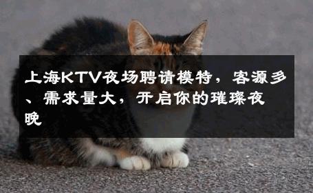 上海KTV夜场聘请模特，客源多、需求量大，开启你的璀璨夜晚