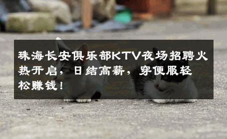 珠海长安俱乐部KTV夜场招聘火热开启，日结高薪，穿便服轻松赚钱！
