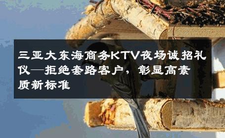 三亚大东海商务KTV夜场诚招礼仪—拒绝套路客户，彰显高素质新标准