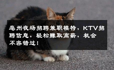 亳州夜场招聘兼职模特，KTV招聘信息，轻松赚取高薪，机会不容错过！