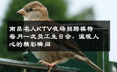 南昌名人KTV夜场招聘模特——每月一次员工生日会，温暖人心的精彩瞬间
